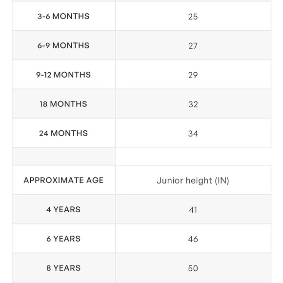 Palm Angels Track Jacket - Blue Palm Tree - Picture 5 of 5